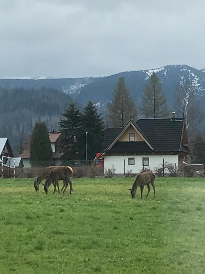 A3Apartament 2 Pokojowy Aneks Kuchenny 2 Lazienki Wlasne Na Korytarzu Villa Jumper Pobyt Na Termach Dla 2 Osob Gratis Закопане Экстерьер фото